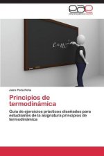 Principios de termodinamica
