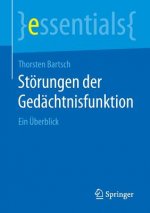 Stoerungen der Gedachtnisfunktion