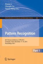 Pattern Recognition