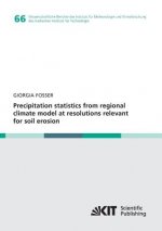 Precipitation statistics from regional climate model at resolutions relevant for soil erosion