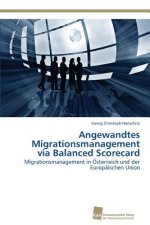 Angewandtes Migrationsmanagement via Balanced Scorecard