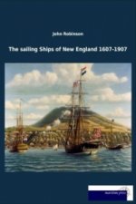 The sailing Ships of New England 1607-1907