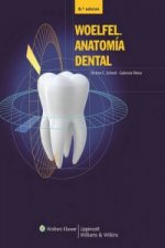 Woelfel. Anatomia Dental