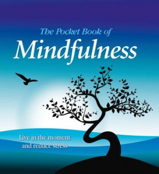 Pocket Book of Mindfulness