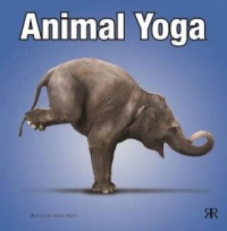 Animal Yoga