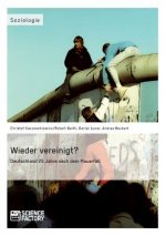Wieder vereinigt? Deutschland 25 Jahre nach dem Mauerfall