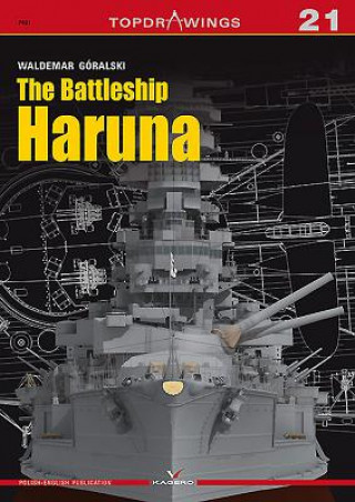 Battlecruiser Haruna