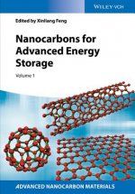 Nanocarbons for Advanced Energy Storage, Volume 1