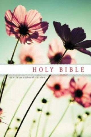 NIV, Holy Bible, Paperback