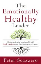 Emotionally Healthy Leader