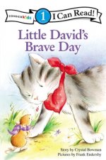 Little David's Brave Day