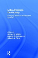 Latin American Democracy
