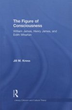 Figure of Consciousness
