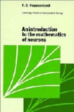 Introduction to the Mathematics of Neurons