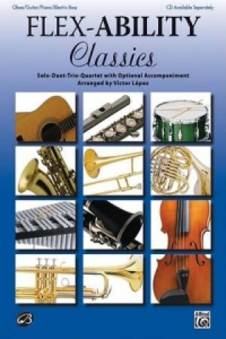 FLEXABILITYCLASSICS OB GTR PNO