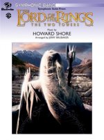 LORD OF THE RINGS TWO TOWERS CBAND