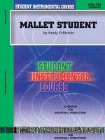 MALLET STUDENT 1 UPDATED