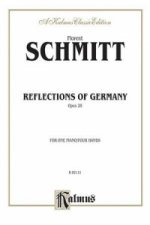 SCHMITT REFLECTIONS OF GERMANY