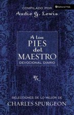 Los Pies Del Maestro