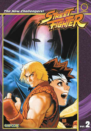 Street Fighter Volume 2