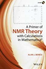 Primer of NMR Theory with Calculations in Mathematica (c)