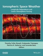 Ionospheric Space Weather - Longitude Dependence and Lower Atmosphere Forcing