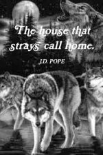 House That Strays Call Home.