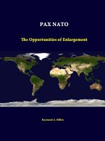 Pax NATO: the Opportunities of Enlargement