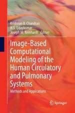 Image-Based Computational Modeling of the Human Circulatory and Pulmonary Systems
