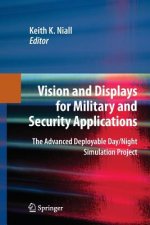 Vision and Displays for Military and Security Applications