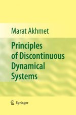 Principles of Discontinuous Dynamical Systems