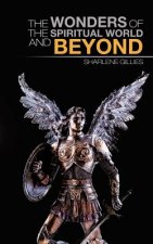 Wonders of the Spiritual World and Beyond