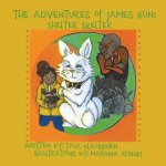 Adventures of James Bun