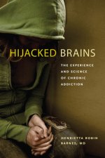 Hijacked Brains - The Experience and Science of Chronic Addiction