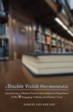 Double Vision Hermeneutic
