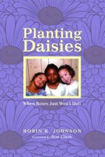 Planting Daisies