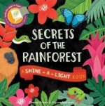 Shine a Light: Secrets of the Rainforest