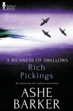 Richness of Swallows