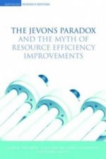 Jevons Paradox and the Myth of Resource Efficiency Improvements