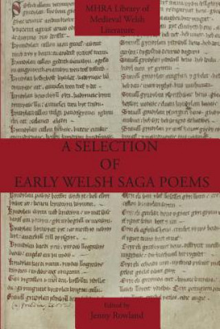 Selection of Early Welsh Saga Poems