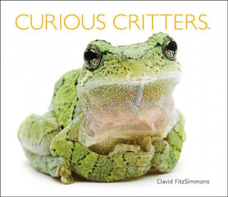 Curious Critters Volume Two