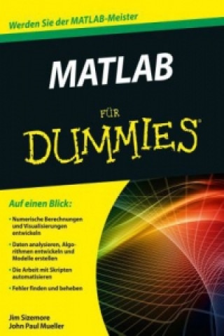 Matlab fur Dummies