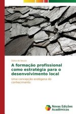 formacao profissional como estrategia para o desenvolvimento local
