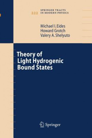 Theory of Light Hydrogenic Bound States