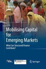 Mobilising Capital for Emerging Markets
