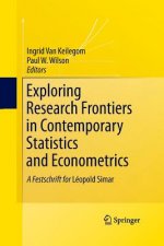 Exploring Research Frontiers in Contemporary Statistics and Econometrics