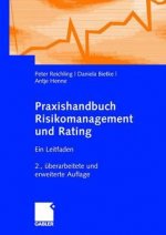 Praxishandbuch Risikomanagement Und Rating