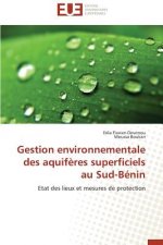 Gestion Environnementale Des Aquif res Superficiels Au Sud-B nin