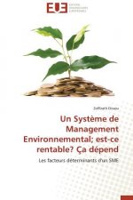 Un Syst me de Management Environnemental Est-Ce Rentable?  a D pend