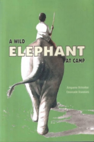 Wild Elephant at Camp